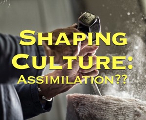 Shaping Culture Assimilation