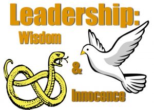 leadership-wisdominnocence