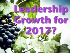 leadershipgrowth2017